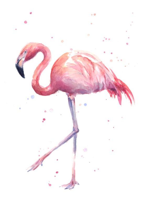 550x765 Watercolor Clipart Flamingo - Watercolor Flamingo Clipart