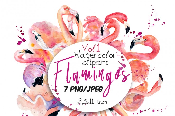 720x479 Watercolor Flamingo Clipart Tropical Summer Set. Vol.1 By - Watercolor Flamingo Clipart