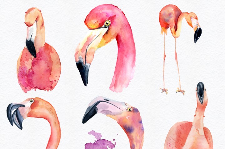 720x479 Watercolor Flamingo Clipart Tropical Summer Set. Vol.2 By - Watercolor Flamingo Clipart