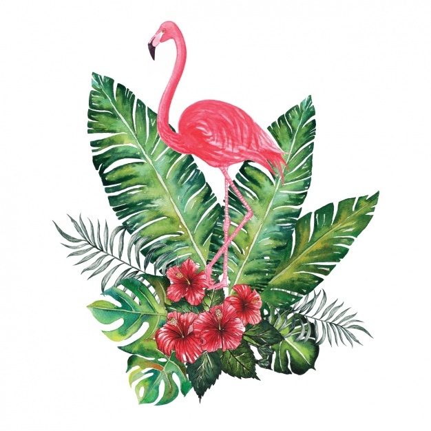 626x626 Flamingo Vectors, Photos And Psd Files Free Download - Watercolor Flamingo Clipart