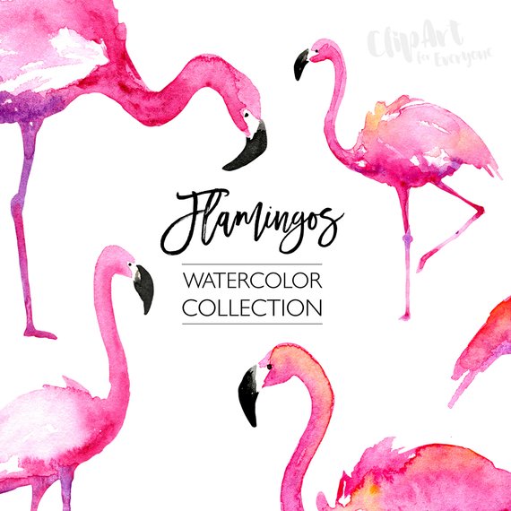 570x570 Flamingo Clipart Abstract ~ Frames ~ Illustrations ~ Hd Images - Watercolor Flamingo Clipart