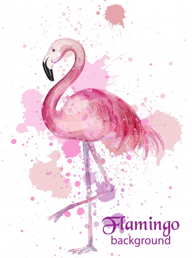 626x842 Flamingo Vectors, Photos And Psd Files Free Download - Watercolor Flamingo Png