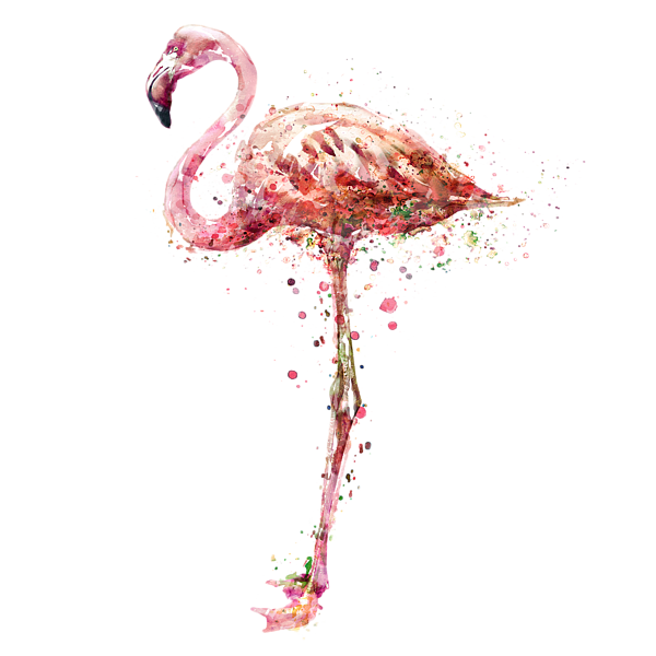 600x600 Flamingo Png Free Download On Mbtskoudsalg - Watercolor Flamingo Png