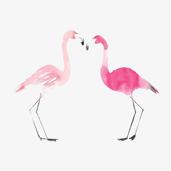564x564 Flamingos, Hand Painted Flamingos, Cartoon Flamingo, Watercolor - Watercolor Flamingo Png
