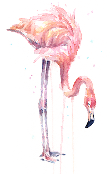 452x700 Collection Of Free Flamingo Drawing Watercolor. Download On Ubisafe - Watercolor Flamingo Png
