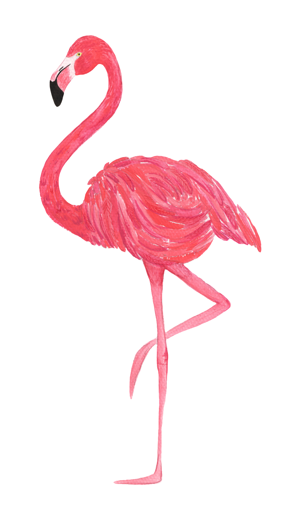 1024x1743 Red Flamingo Watercolor Transparent And Exempted Pattern Free - Watercolor Flamingo Png