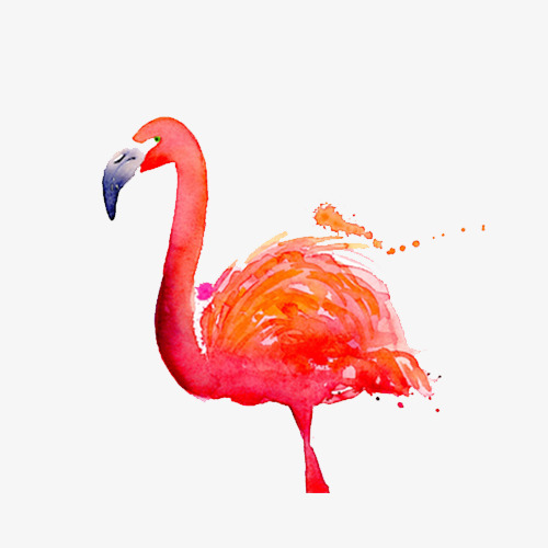 500x500 Watercolor Painted Flamingo, Hand Painted, Watercolor, Flamingos - Watercolor Flamingo Png