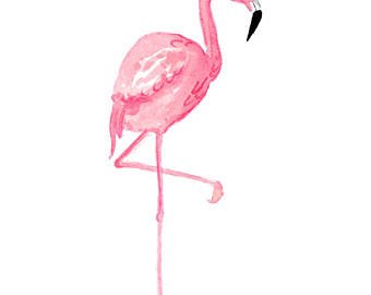340x270 Watercolor Flamingo Etsy - Watercolor Flamingo Png