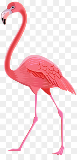 260x540 Flamingo Png Amp Flamingo Transparent Clipart Free Download - Watercolor Flamingo Png