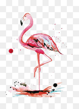 260x359 Flamingo Png, Vectors, Psd, And Clipart For Free Download Pngtree - Watercolor Flamingo Png