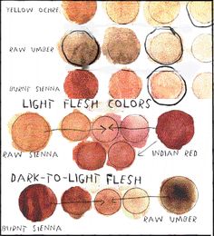 236x260 Glidden Premium 1 Gal. - Watercolor Flesh Tones