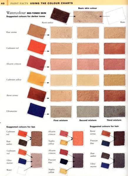 435x600 Skin Tone Colour Charts.. - Watercolor Flesh Tones