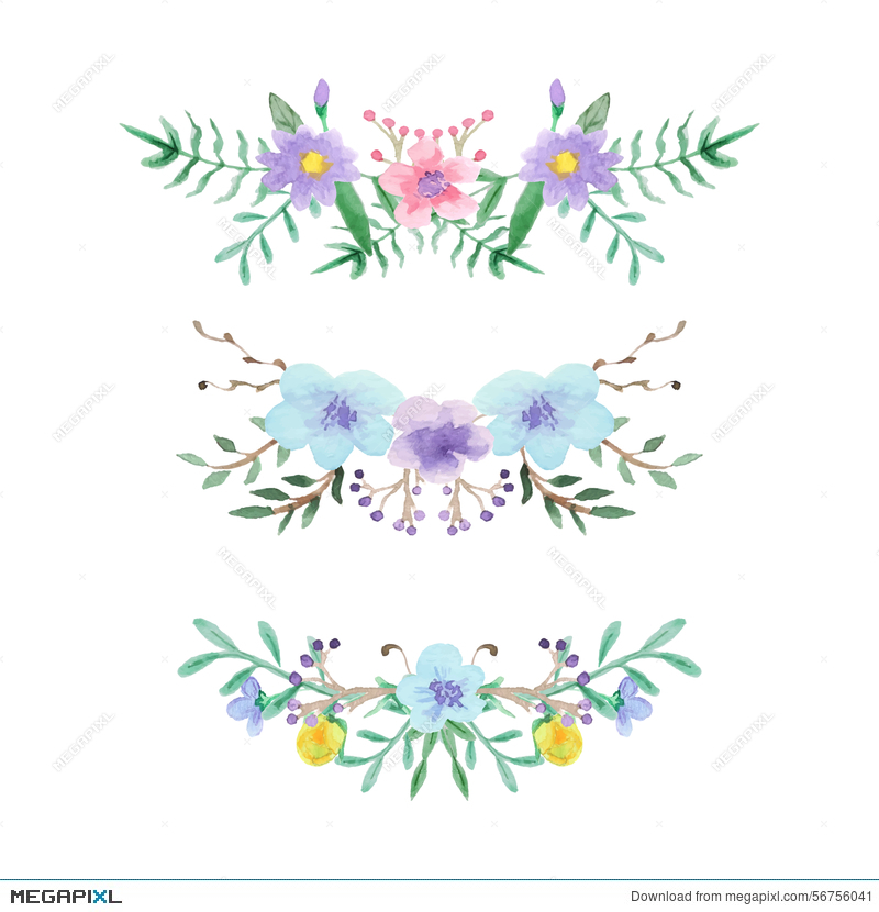 800x830 Watercolor Floral Border Set Illustration 56756041 - Watercolor Floral Border