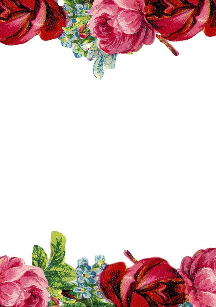 736x1044 Free Flower Stationery - Watercolor Floral Border Paper Printable
