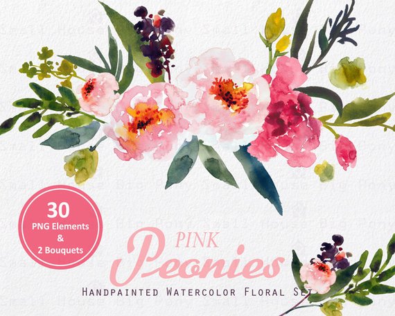570x456 Digital Clipart Watercolor Flower Clipart Peonies Clip Art Etsy - Watercolor Floral Clipart