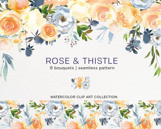 642x514 Rose Amp Thistle Watercolor Floral Png Clipart Collection Peach Etsy - Watercolor Floral Png