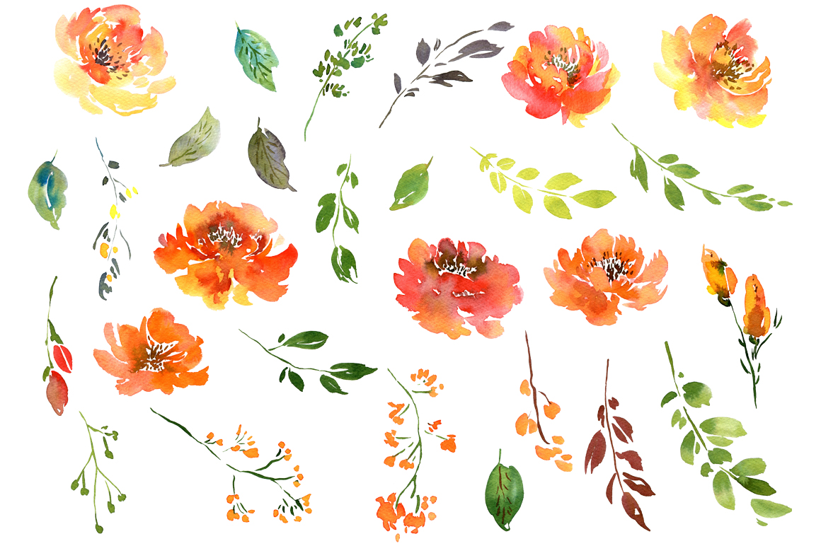 1160x772 Summer Orange Watercolor Flowers Png By Watercolorflowers - Watercolor Floral Png