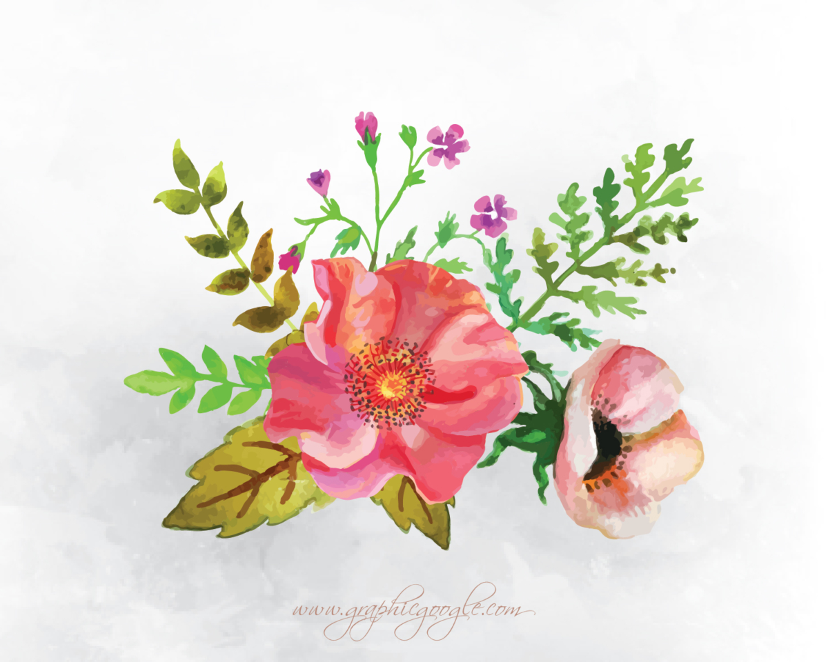 1200x960 A Collection Of Free Watercolor Floral Elements - Watercolor Floral Png