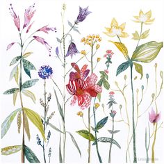 Watercolor Floral Print