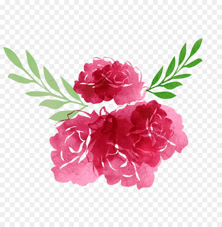 900x920 Garden Roses Flower - Watercolor Floral Vector