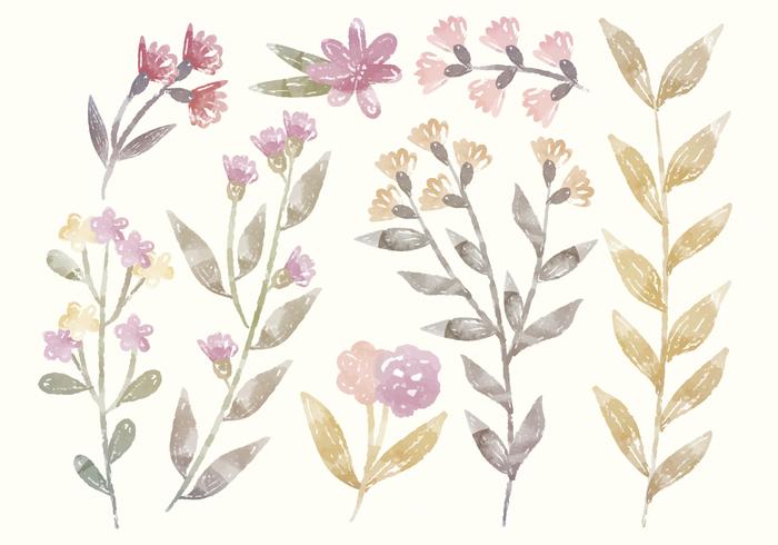 700x490 Vector Watercolor Floral Elements - Watercolor Floral Vector
