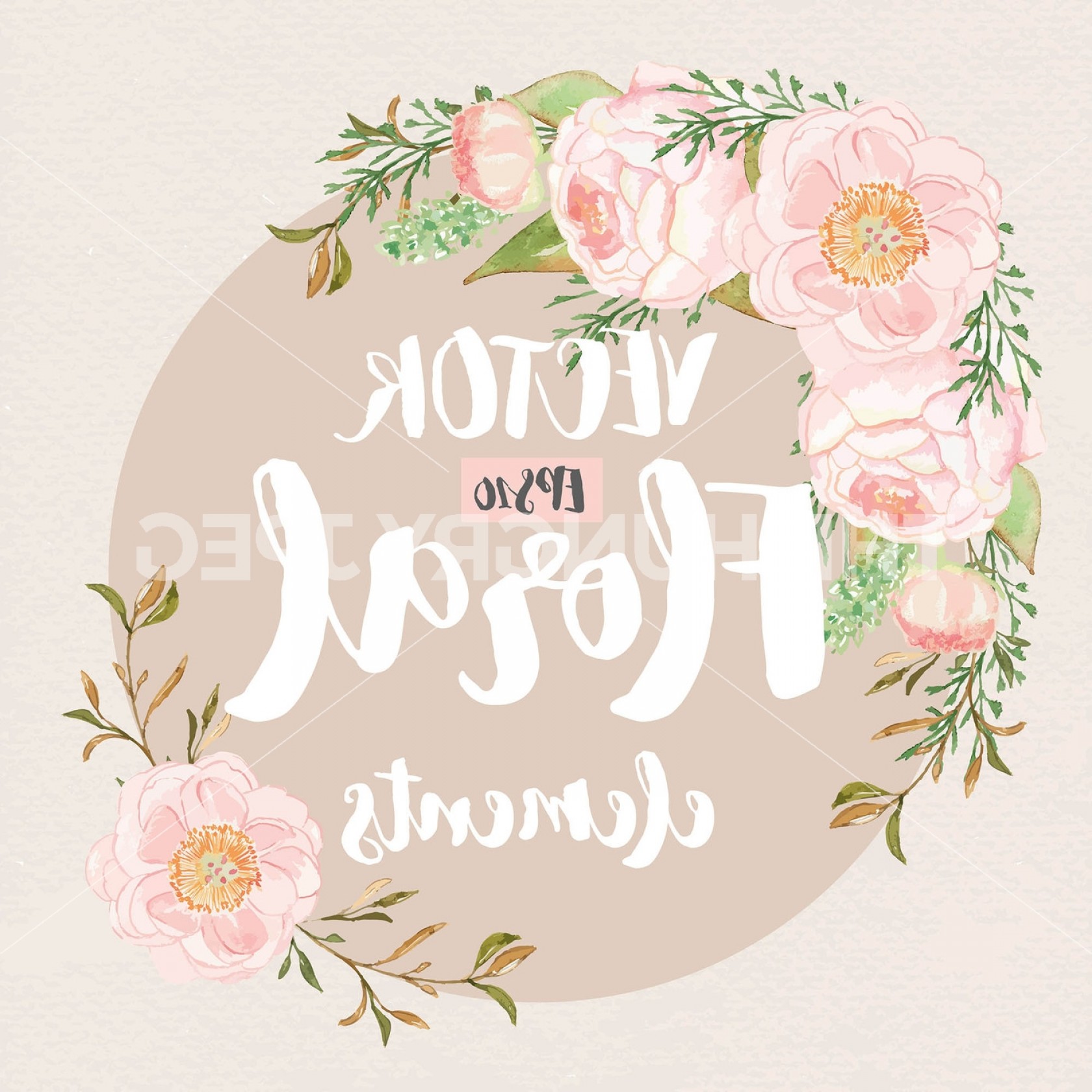 1680x1680 Vector Watercolor Rose Blush Clipart Watercolor Flower Pink Floral - Watercolor Floral Vector