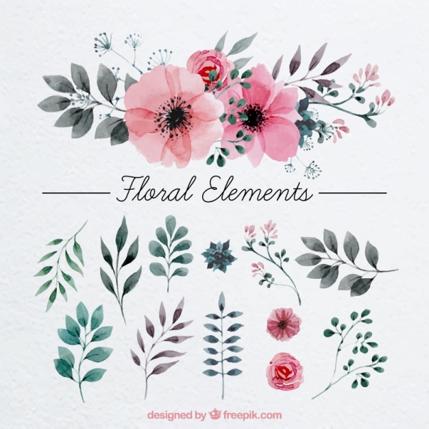 626x626 Floral Vectors, Photos And Psd Files Free Download - Watercolor Floral Vector