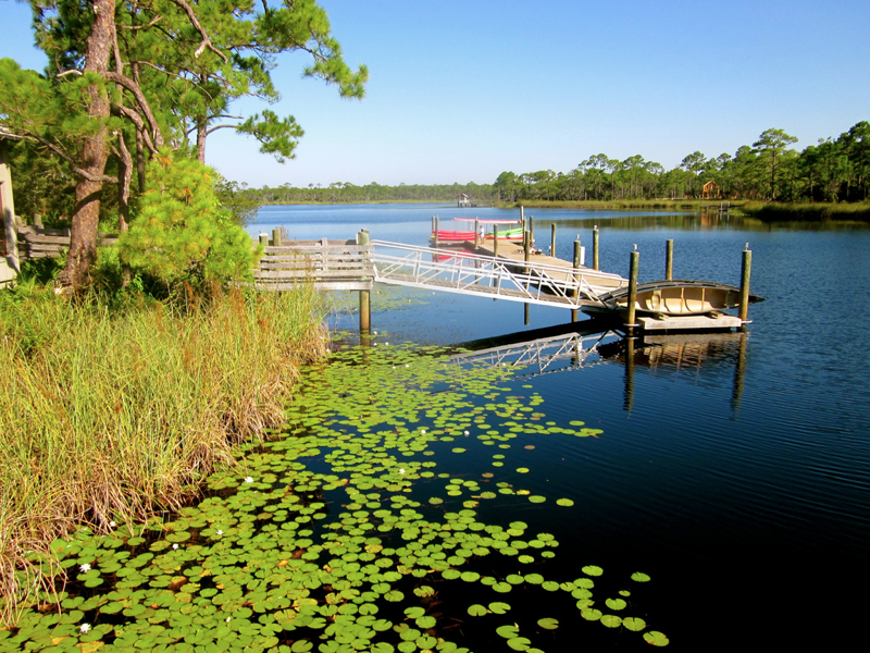 800x600 Watercolor, Florida - Watercolor Florida Images
