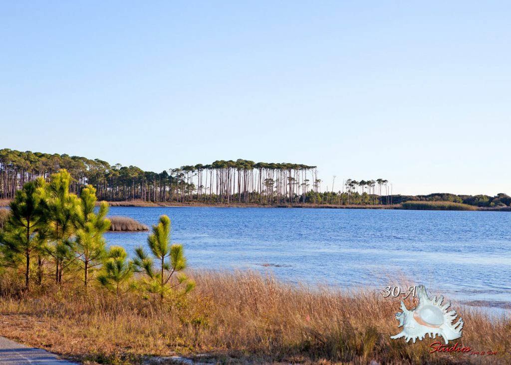 1024x732 Watercolor Florida Beach Services - Watercolor Florida Images