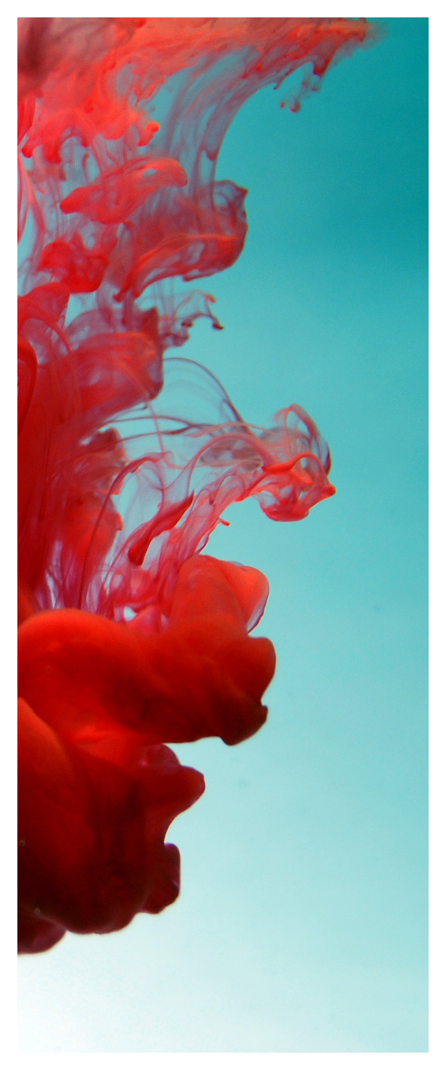 900x2158 Maclaud Alonso) - Watercolor Flow