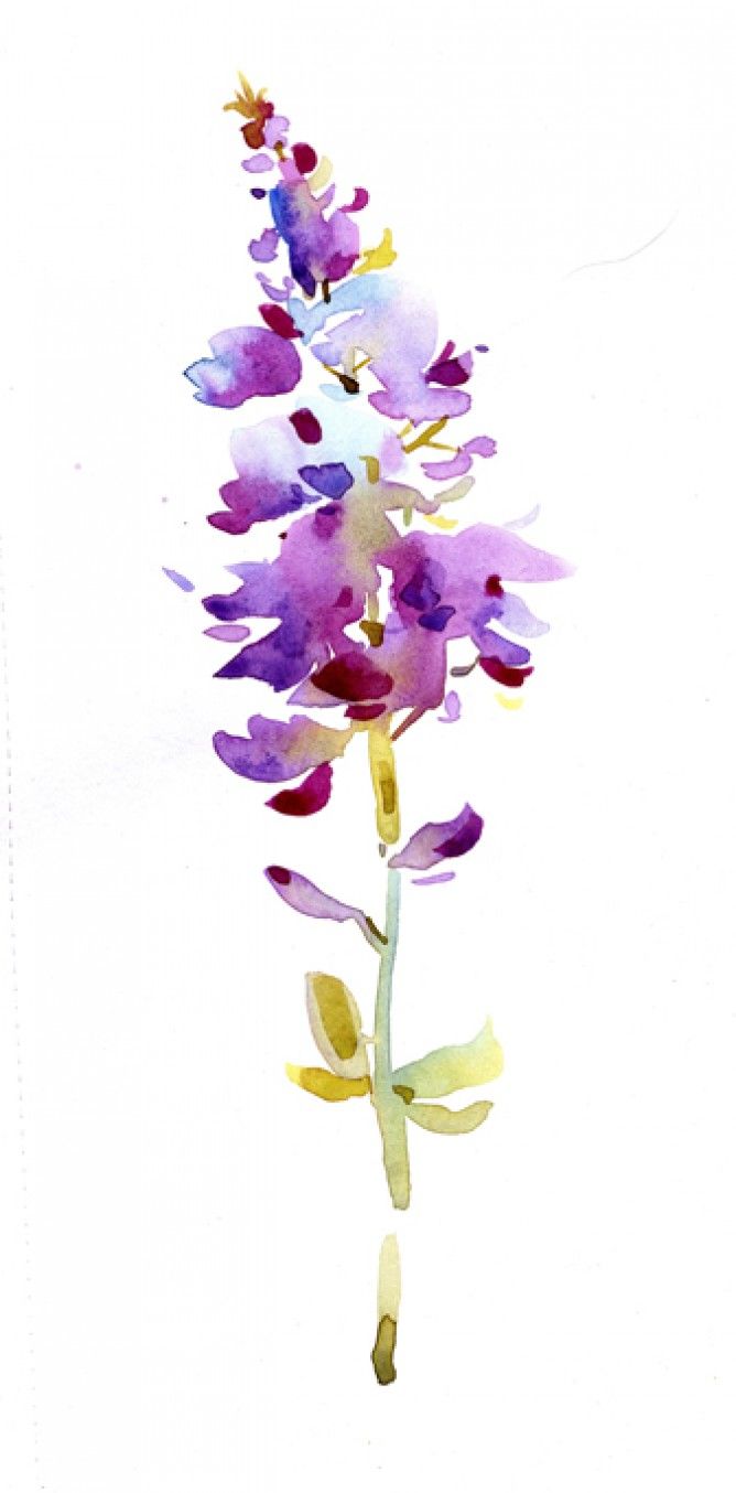 668x1354 Natalie Graham - Watercolor Flower Art