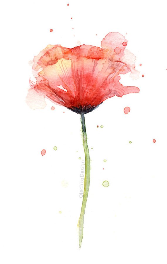 570x897 Red Poppy Watercolor Flower Art Print Poppies Poppy Wall Etsy - Watercolor Flower Art