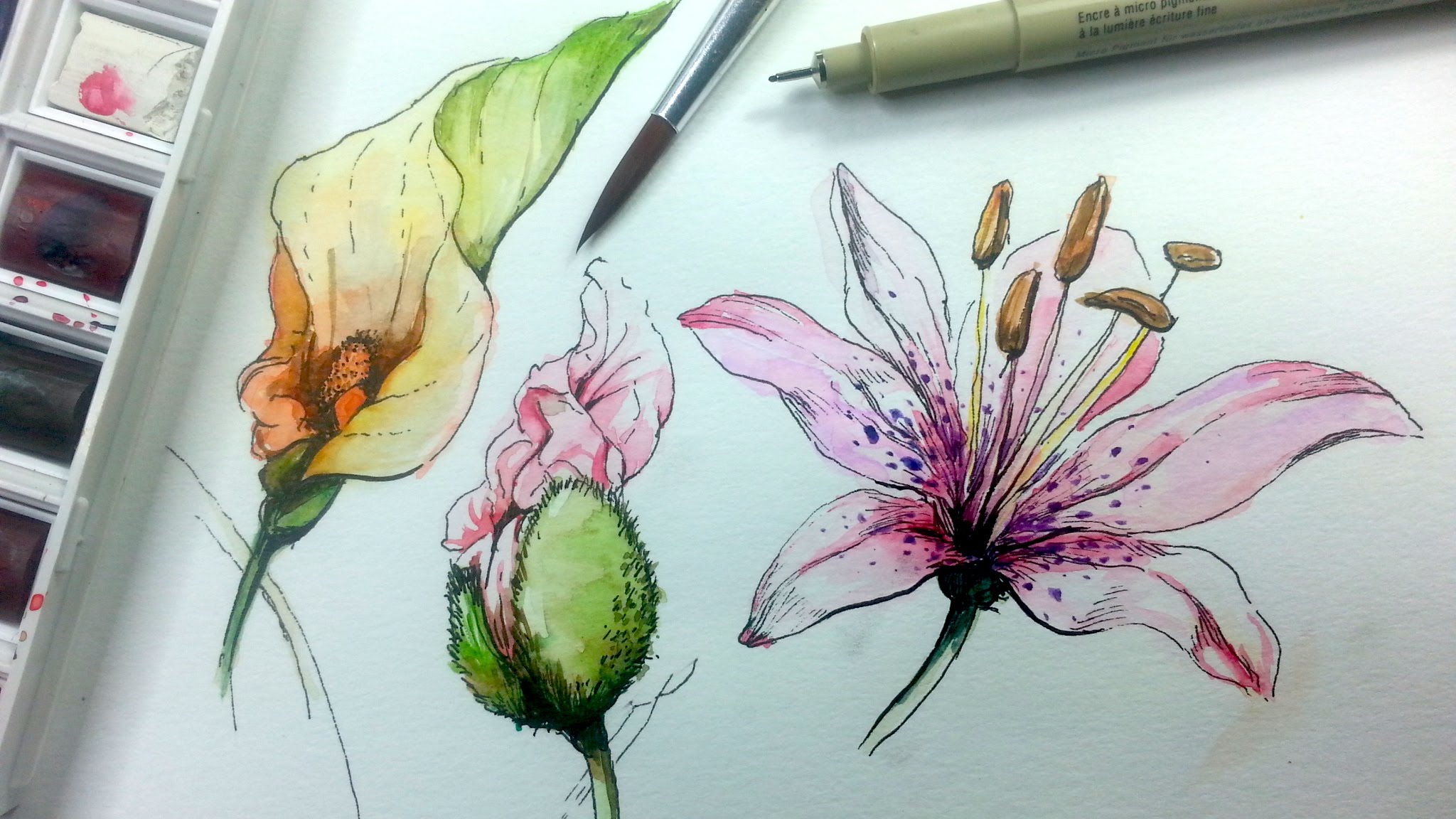 2048x1152 How To Draw Amp Paint Flowers With Ink And Watercolor Part 1 - Watercolor Flower Artist