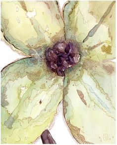 236x294 The 34 Best Artist ~ Stephanie Ryan Watercolor Flowers Images On - Watercolor Flower Artist