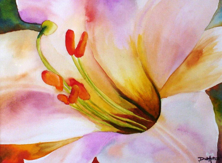 749x550 Flowers Watercolor Painting Artworks Of This Professional Artist - Watercolor Flower Artist