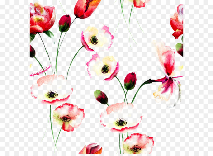 900x660 Poppy Flowers Watercolor Painting Floral Design - Watercolor Flower Background Free