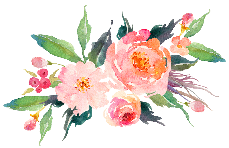 800x518 Watercolor Flower Clip Art Free Transparent Background - Watercolor Flower Background Free
