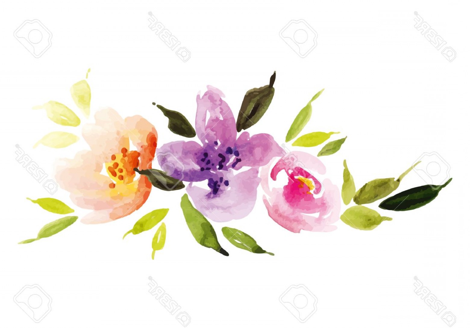 1560x1090 Pink Watercolor Flower Border Vector Shopatcloth - Watercolor Flower Border