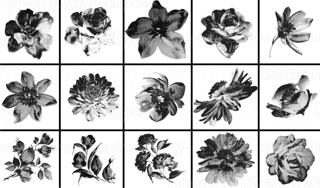 1024x601 Flowers Watercolor - Watercolor Flower Brush