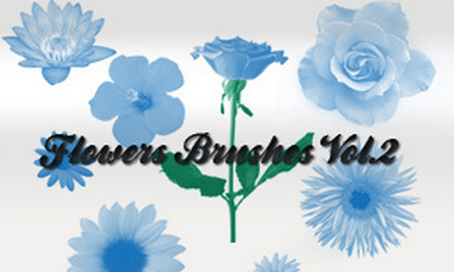 500x300 New Collection Of Free Floral Photoshop Brushes Naldz Graphics - Watercolor Flower Brush