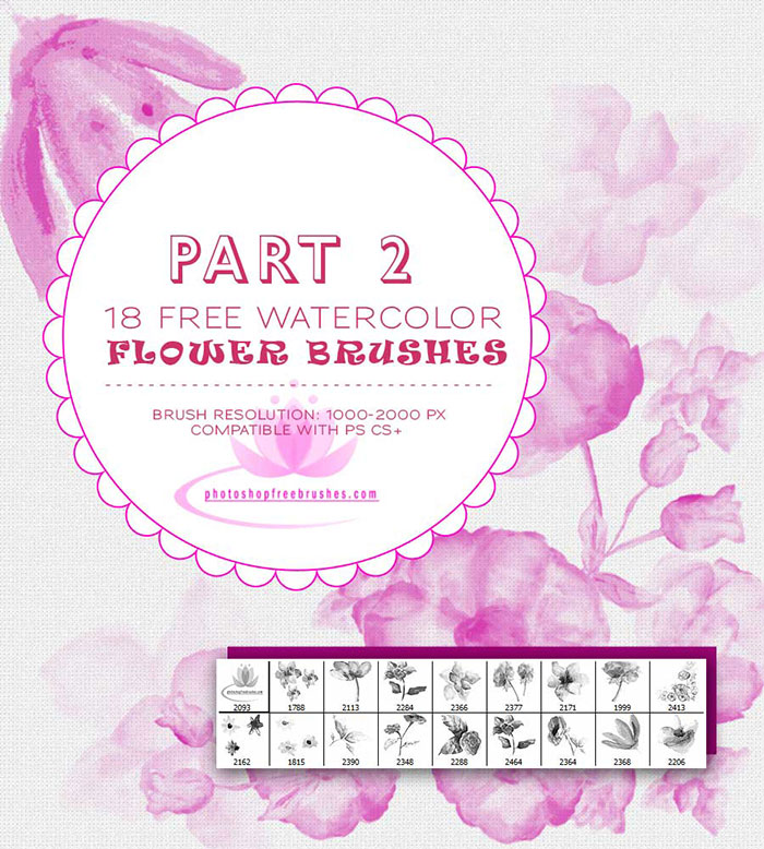 700x778 Watercolor Floral Ps Brushes Photoshop Free Brushes - Watercolor Flower Brush