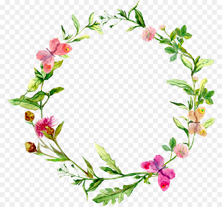 900x840 Watercolor Painting Herb Stock Photography - Watercolor Flower Circle