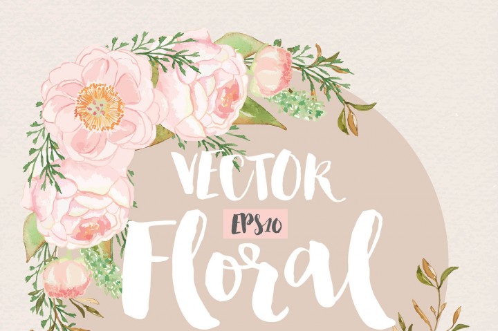 720x479 Vector Watercolor Rose Blush Clipart, Watercolor Flower, Pink - Watercolor Flower Clipart