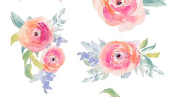 350x200 Watercolor Flower Stock No Background - Watercolor Flower Clipart