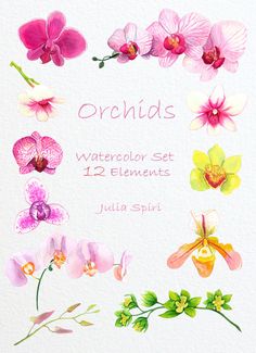 236x325 31 Best Watercolor Flower Clip Art Images Flower - Watercolor Flower Clipart