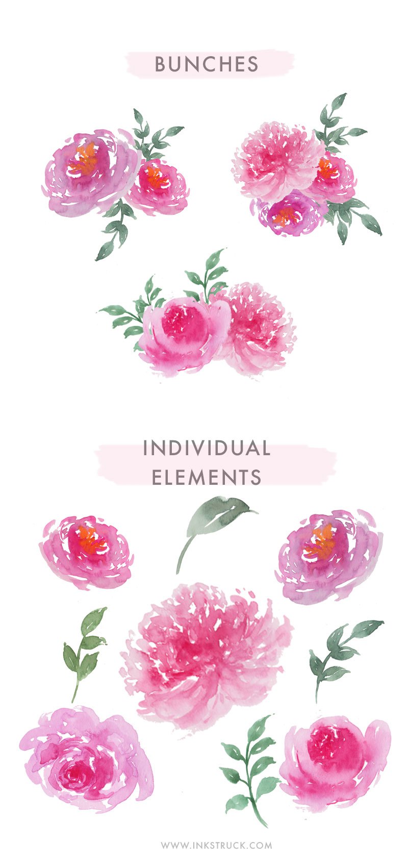800x1697 Free Watercolor Floral Clip Art - Watercolor Flower Clipart Free