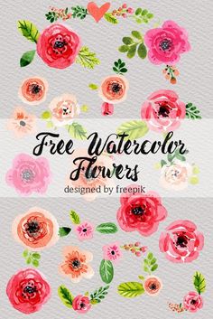 236x353 212 Best Graphic Freebies Images Free Watercolor - Watercolor Flower Clipart Free
