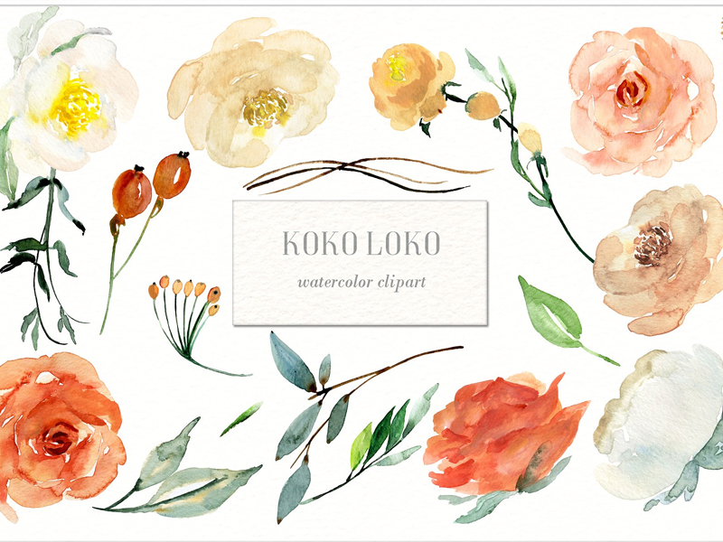 800x600 Koko Loko. Watercolor Floral Clipart - Watercolor Flower Clipart Free