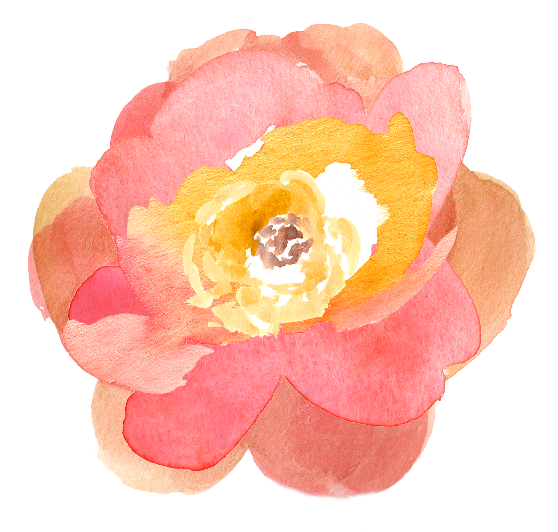 1878x1791 Collection Of Watercolor Flower Clipart Free High Quality - Watercolor Flower Clipart Free