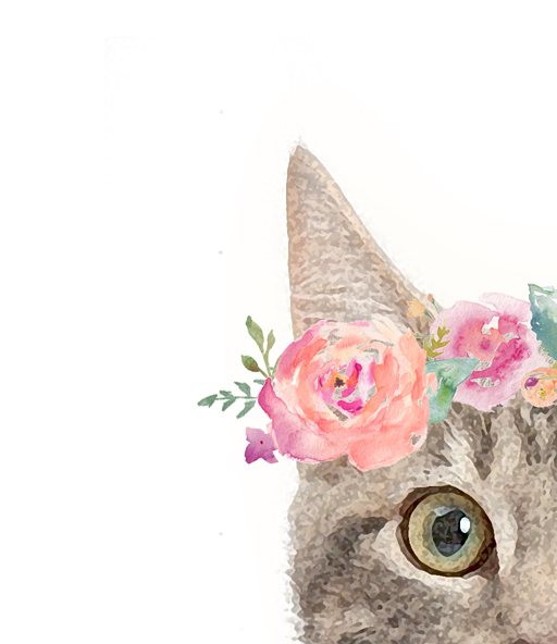 512x592 Peony Pussy Cat - Watercolor Flower Crown